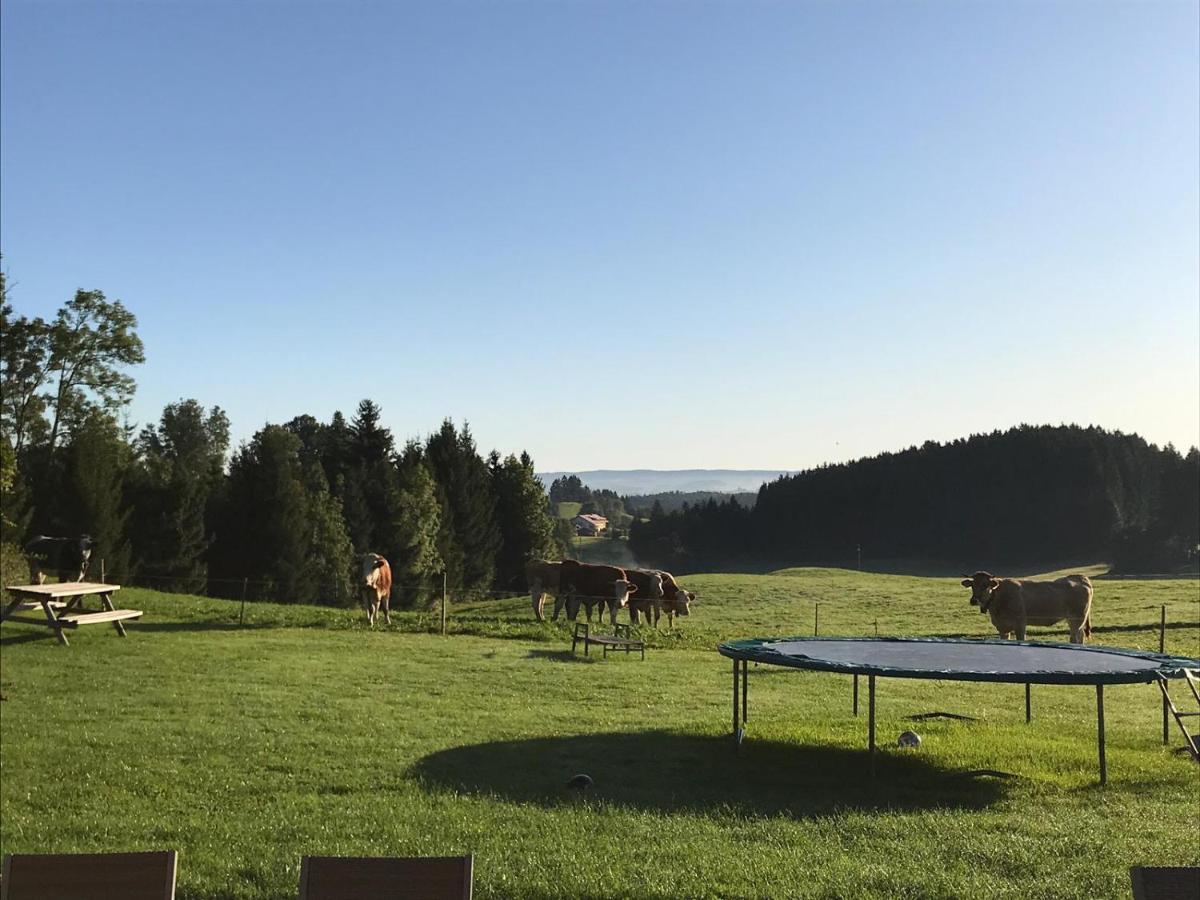 Gmeinder'S Landhaus Immenstadt im Allgäu Dış mekan fotoğraf
